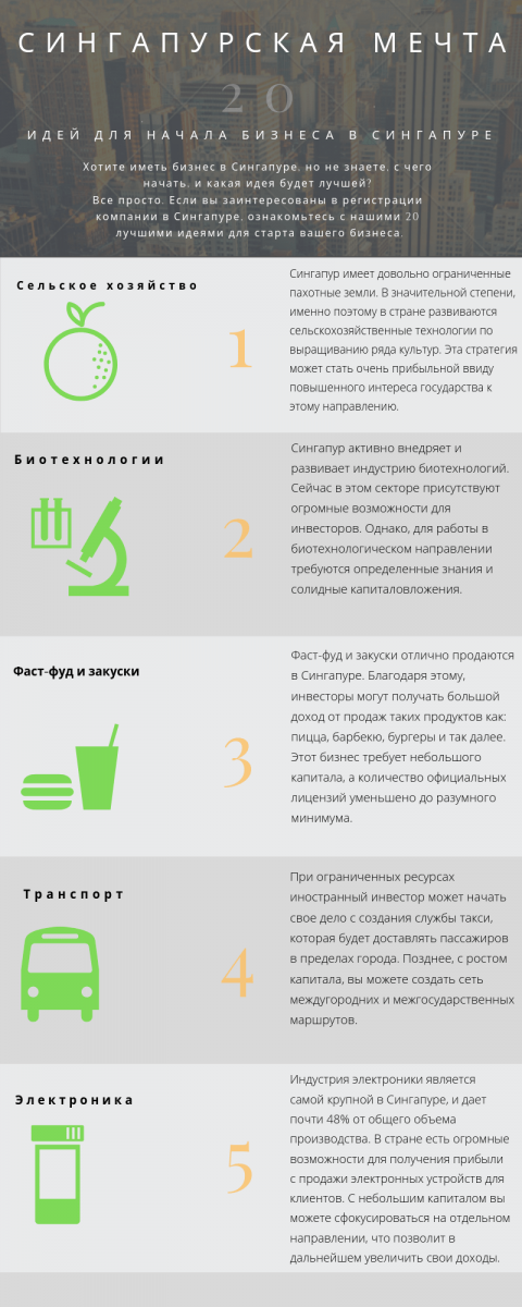 Какой бизнес открыть в Сингапуре: 20 актуальных идей в 2019 году
