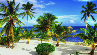 Belize Has Introduced Economic Substance Forms, picture