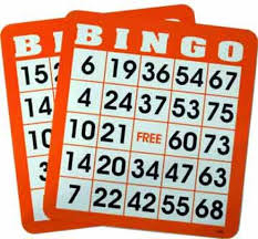 Obtaining a Bingo License