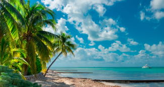 Cayman Islands Made Companies Register Public