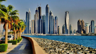 A local company in UAE: purpose and features of registration